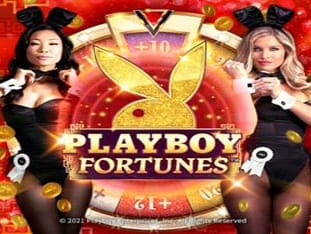 Playboy Fortunes game icon